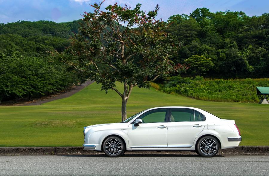  Mitsuoka Ryugi 2015 года  (фото 8 из 9)